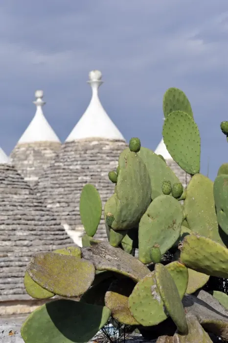 Framed Print : Trulli in the countryside near Alberobello Framed Print : Trulli in the countryside near Alberobello