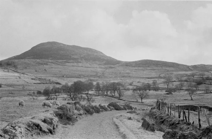Framed Print : Tryweryn Valley Framed Print : Tryweryn Valley