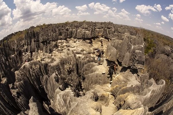 Tsingy de Bemaraha National Park. Unesco World Heritage in Madagascar