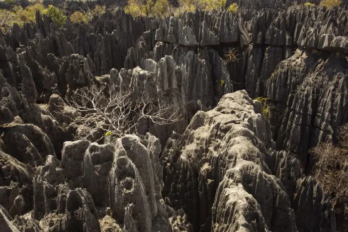 Framed Print : Tsingy de Bemaraha National Park. Unesco World Heritage in Madagascar Framed Print : Tsingy de Bemaraha National Park. Unesco World Heritage in Madagascar