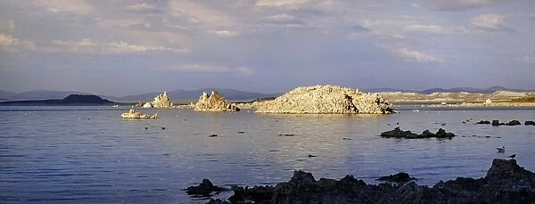 Tufa formations on Sees Mono Lake in the evening light, Mono Lake, Lee Vining, California, United States