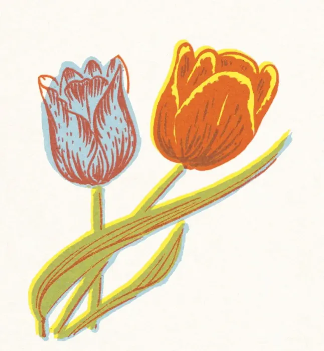Framed Print : Tulips. http: / / csaimages.com / images / istockprofile / csa_vector_dsp.jpg Framed Print : Tulips. http: / / csaimages.com / images / istockprofile / csa_vector_dsp.jpg