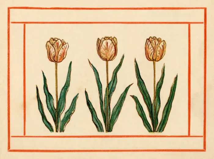 Framed Print : Tulips - Kate Greenaway, 1884 Framed Print : Tulips - Kate Greenaway, 1884