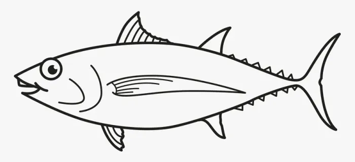 Framed Print : Tuna Framed Print : Tuna