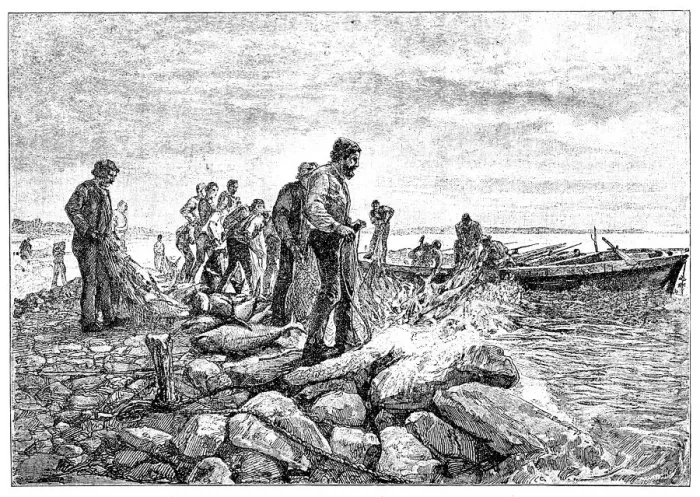 Framed Print : Tuna fishing Framed Print : Tuna fishing
