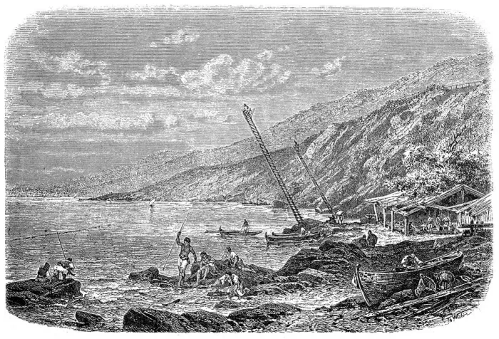 Framed Print : Tuna fishing Framed Print : Tuna fishing