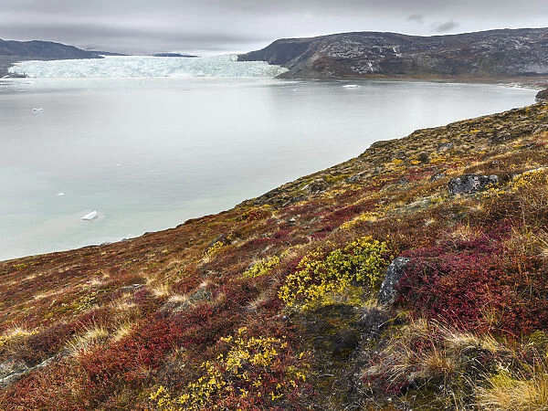 Tundra landscape with Glacier Eqip (Eqip Sermia), Oqaatsut, Avannaata, Greenland, Denmark