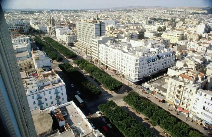 Framed Print : Tunis City Framed Print : Tunis City