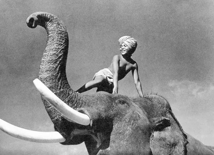 Framed Print : Turbaned Boy Seated on an Elephant Framed Print : Turbaned Boy Seated on an Elephant
