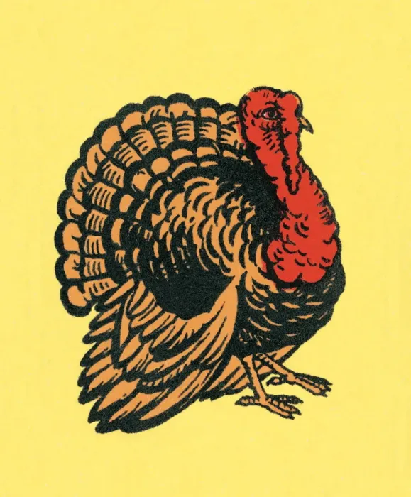 Framed Print : Turkey. http: / / csaimages.com / images / istockprofile / csa_vector_dsp.jpg Framed Print : Turkey. http: / / csaimages.com / images / istockprofile / csa_vector_dsp.jpg