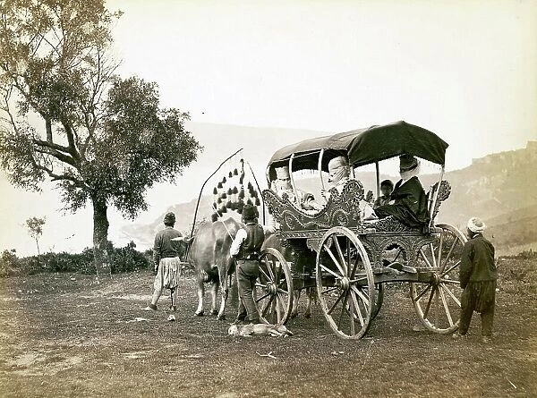 Turkish family going out in a carriage pulled by oxen, 1870, Turkey, Historic, digitally restored reproduction from a 19th century original