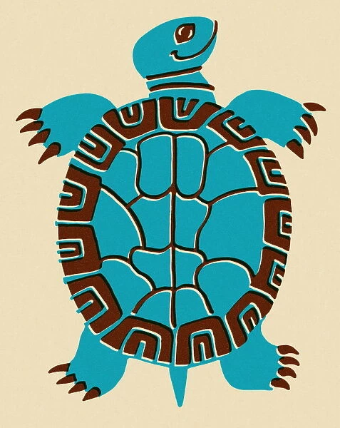 Turtle. http: /  / csaimages.com / images / istockprofile / csa_vector_dsp.jpg