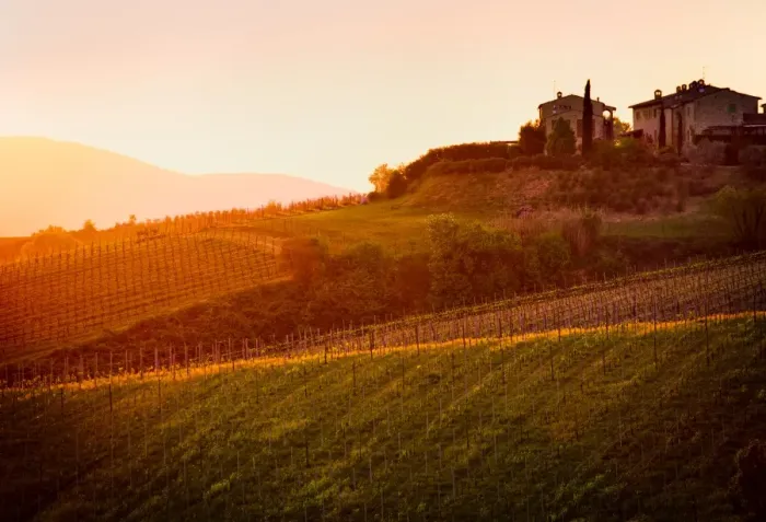 Framed Print : Tuscan dream