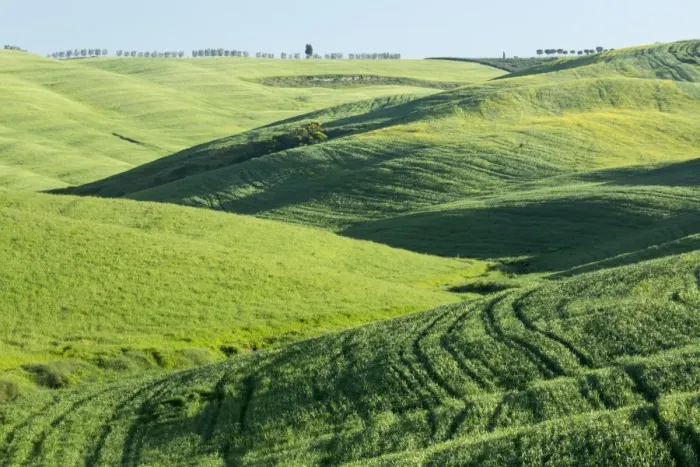 Framed Print : Tuscan Hills Framed Print : Tuscan Hills