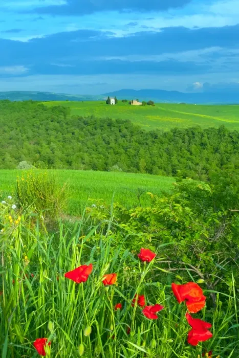 Framed Print : Tuscan landscape with the Capella di Vitaleta Framed Print : Tuscan landscape with the Capella di Vitaleta