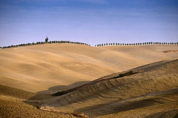 Tuscan landscape near Pienza, Tuscany, Italy, Europe