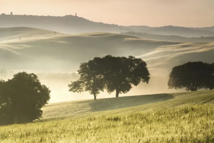 Framed Print : tuscany 2008
