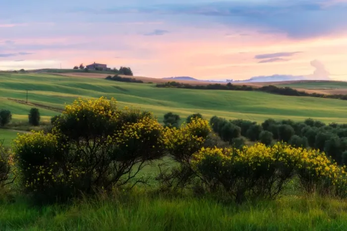 Framed Print : Tuscany Field in Summer Season