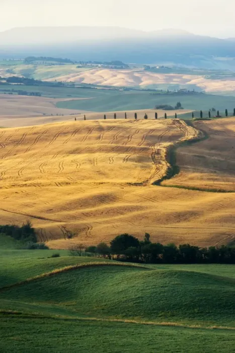 Framed Print : Tuscany Field in Summer Season Framed Print : Tuscany Field in Summer Season