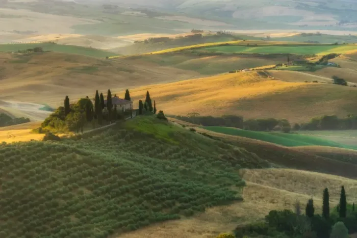Framed Print : Tuscany Field in Summer Season