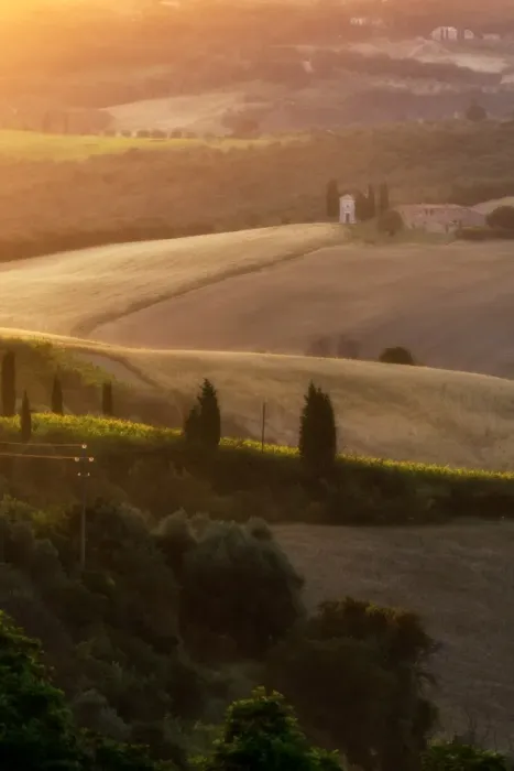 Framed Print : Tuscany Field in Summer Season Framed Print : Tuscany Field in Summer Season