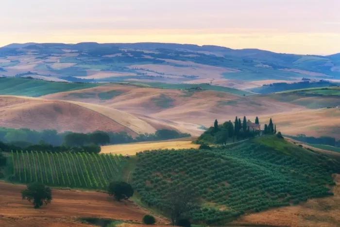 Framed Print : Tuscany Field in Summer Season
