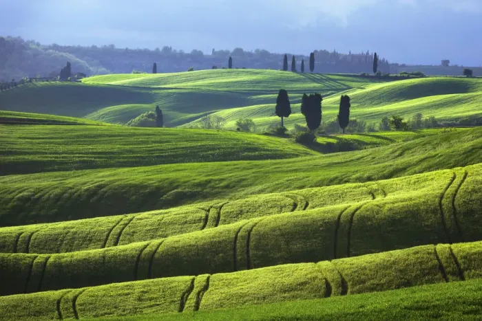 Framed Print : Tuscany Landscape Framed Print : Tuscany Landscape