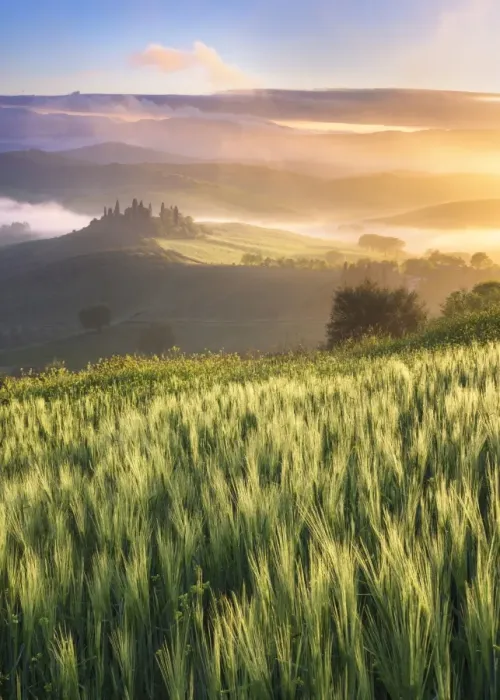 Framed Print : Tuscany Landscape Framed Print : Tuscany Landscape