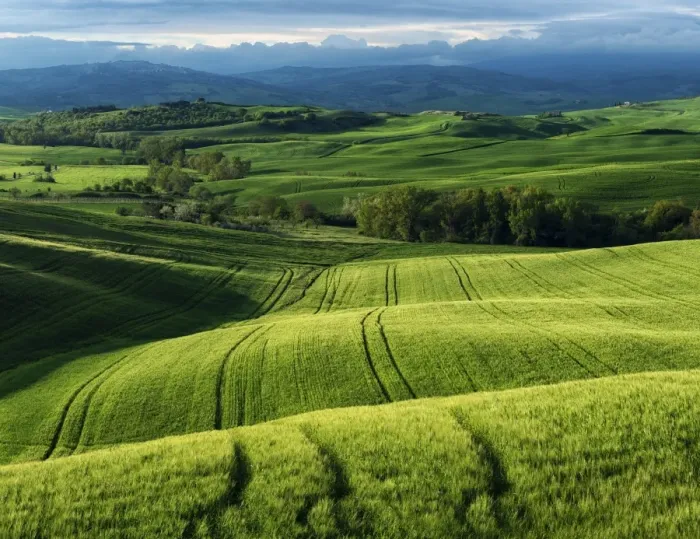 Framed Print : Tuscany Landscape Framed Print : Tuscany Landscape