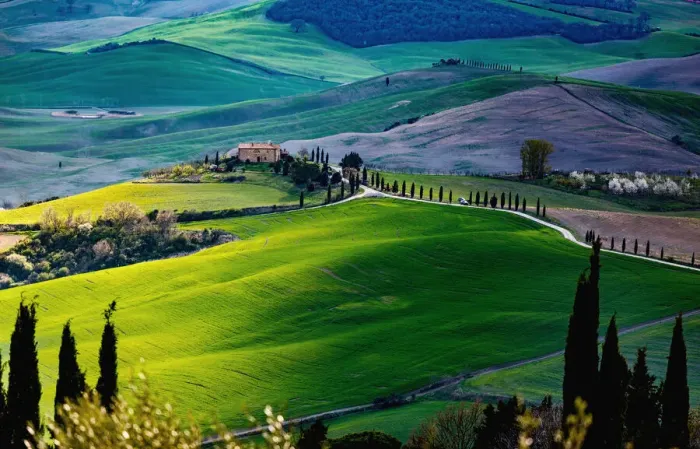 Framed Print : Tuscany, springtime in the afternoon. Path, green rolling hills and cypress trees Framed Print : Tuscany, springtime in the afternoon. Path, green rolling hills and cypress trees