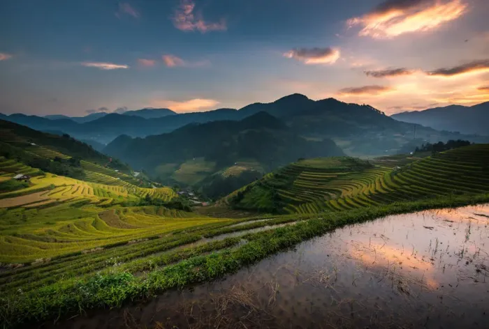 Framed Print : Twilight at rice terrace