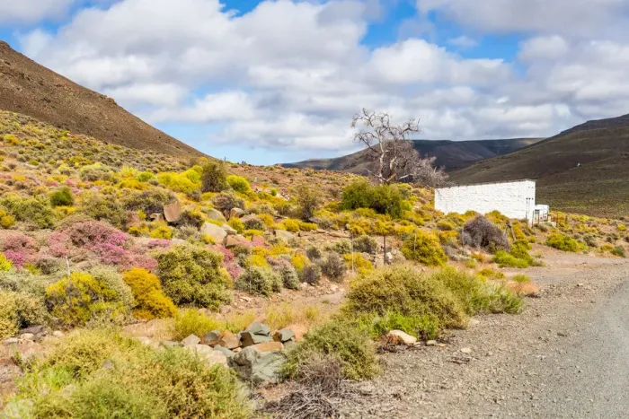Framed Print : A typical Karoo scene, white building, colourful plants and hills. Very dry and arid landscape Framed Print : A typical Karoo scene, white building, colourful plants and hills. Very dry and arid landscape