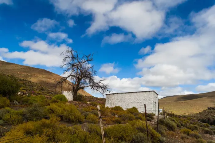Framed Print : A typical Karoo scene, white building, colourful plants and hills. Very dry and arid landscape Framed Print : A typical Karoo scene, white building, colourful plants and hills. Very dry and arid landscape