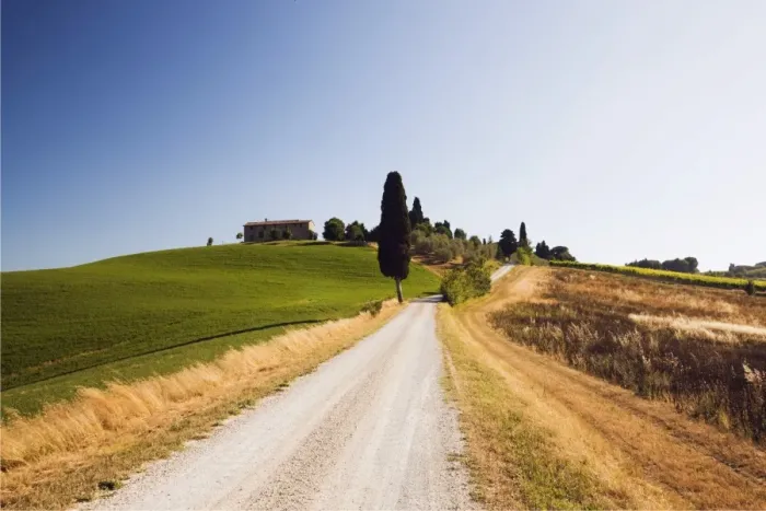Framed Print : Typical Tuscan landscape with a cypress -Cupressus-, near Ville de Corsano, Tuscany, Italy, Europe Framed Print : Typical Tuscan landscape with a cypress -Cupressus-, near Ville de Corsano, Tuscany, Italy, Europe