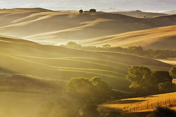 Typical Tuscan landscape near San Quirico dOrcia, Val dOrcia region, early morning mist, Tuscany, Italy, Europe