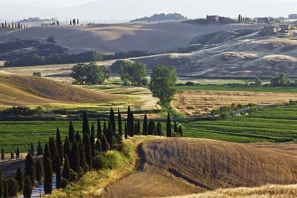 Typical Tuscan landscape near Taverne dArbia, Tuscany, Italy, Europe