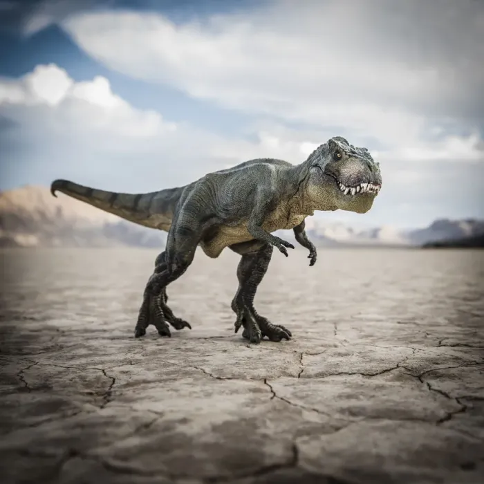 Framed Print : Tyrannosaurus rex dinosaur in desert field Framed Print : Tyrannosaurus rex dinosaur in desert field