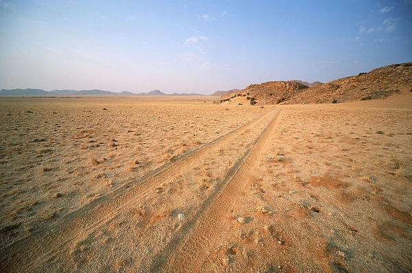 Tyre Tracks Through the Desert