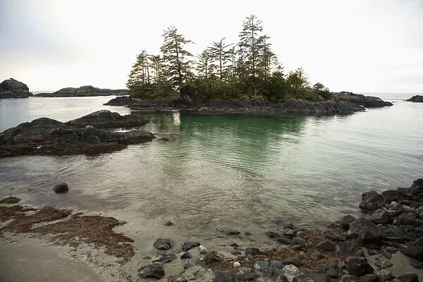 Ucluth Beach In The Wya Point Campground Near Ucluelet On Vancouver Island; British Columbia Canada