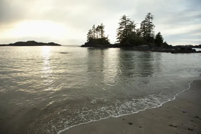 Framed Print : Ucluth Beach In The Wya Point Campground Near Ucluelet On Vancouver Island Framed Print : Ucluth Beach In The Wya Point Campground Near Ucluelet On Vancouver Island