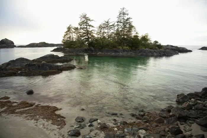 Framed Print : Ucluth Beach In The Wya Point Campground Near Ucluelet On Vancouver Island Framed Print : Ucluth Beach In The Wya Point Campground Near Ucluelet On Vancouver Island