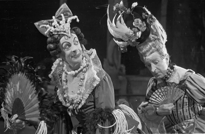 Framed Print : Ugly Sisters Framed Print : Ugly Sisters