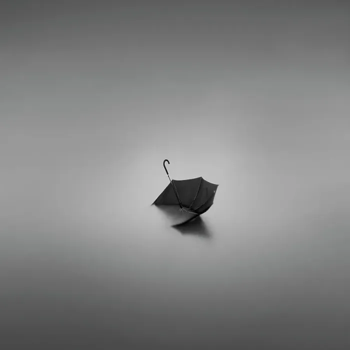 Framed Print : Umbrella. paraguas, black, agua, blanco, negro, Minimal Art, 516698024 Framed Print : Umbrella. paraguas, black, agua, blanco, negro, Minimal Art, 516698024