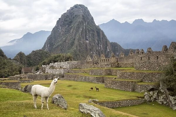 The Unesco World Heritage Site Machu Picchu, Peru
