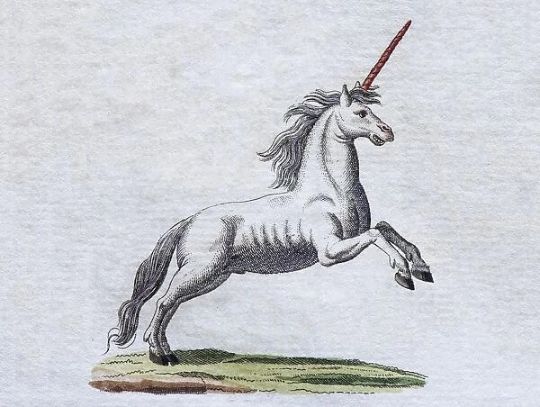 Unicorn, hand-colored copper engraving from childrens picture book by Friedrich Justin Bertuch