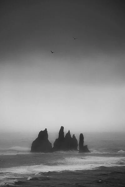 The unique rocks of Vik in black and white tone