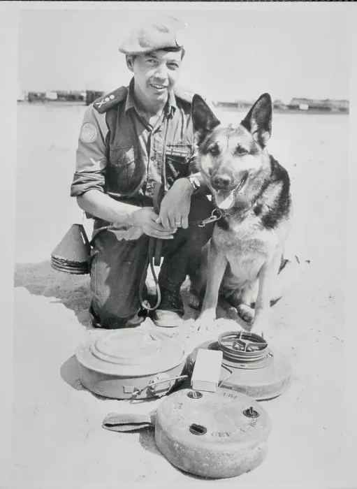 Framed Print : United Nations Emergency Force Dog Posing with Man Framed Print : United Nations Emergency Force Dog Posing with Man