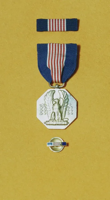 Framed Print : United States Army Medal Framed Print : United States Army Medal