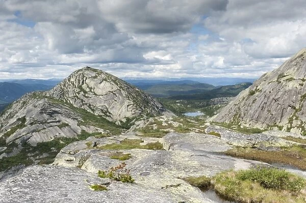 Upland fjell, granite rocks, Mt Vestre Roholtsfjell, 1018m, near Vradal, Vradal, Telemark, Norway, Scandinavia, Northern Europe, Europe