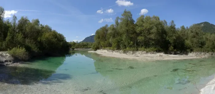 Framed Print : Upper Isar River, at the sediment barrier, nature reserve, Isar valley, Tolzer Land, Upper Bavaria, Bavaria, Germany Framed Print : Upper Isar River, at the sediment barrier, nature reserve, Isar valley, Tolzer Land, Upper Bavaria, Bavaria, Germany